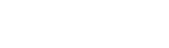 VeraCore logo - white
